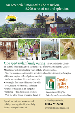 Castle quarter page ad