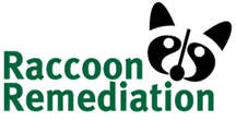 Raccoon Remediation